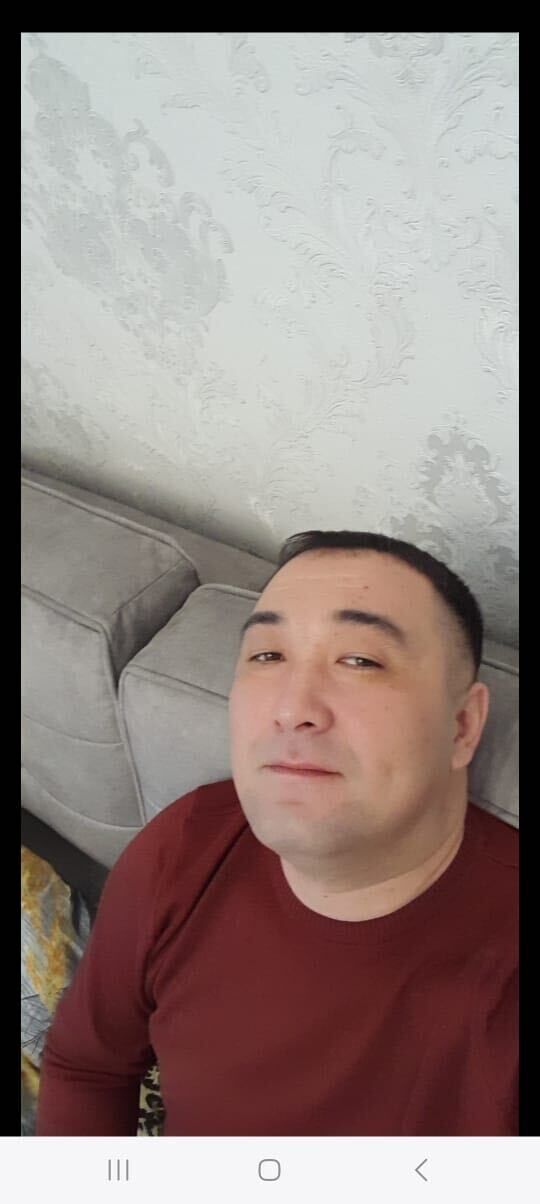  45231888  , 38 ,    