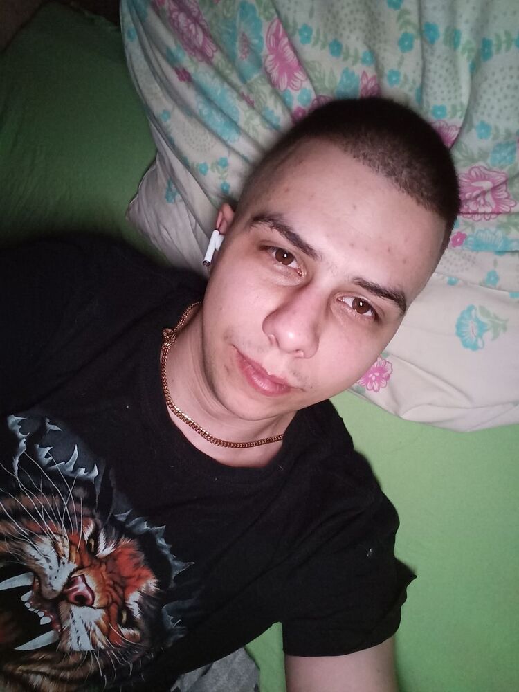  33335218  , 31 ,    