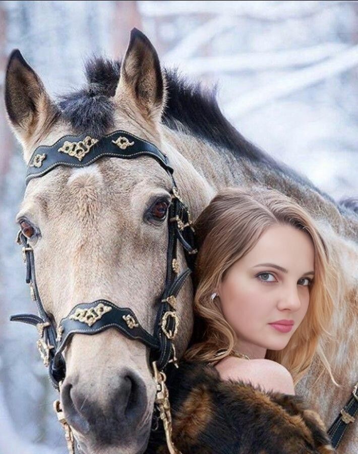 ���� 37315918 ������� ��������, 36 ���, ���� ���������� � ������