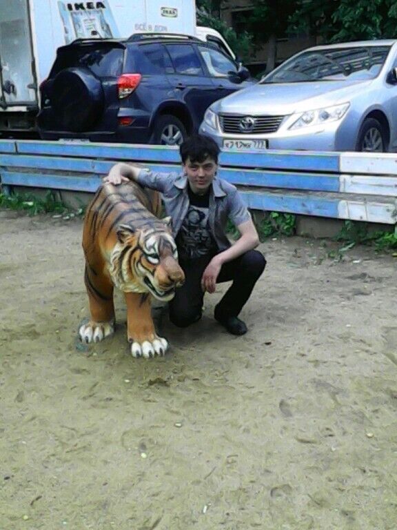 ���������� ����, ���� ������� Daler, 101 ���, ������������ ��� ����� � ���������