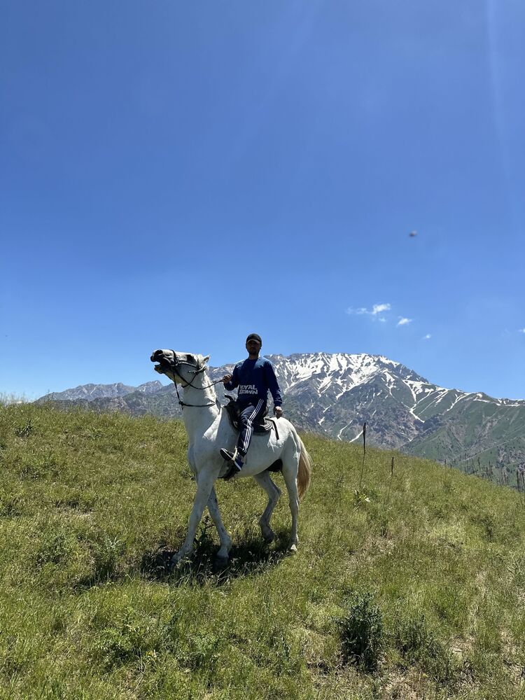 ���� 44575328 ������� Bobur, 35 ���, ���� ���������� � ��������