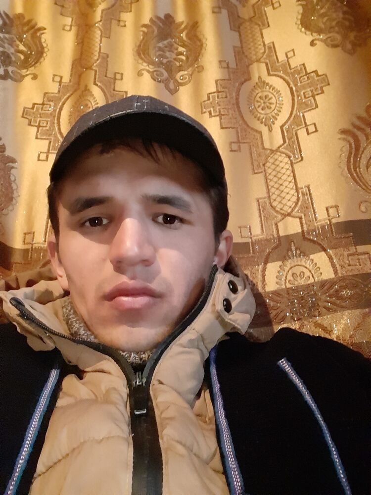  34034378  , 29 ,    