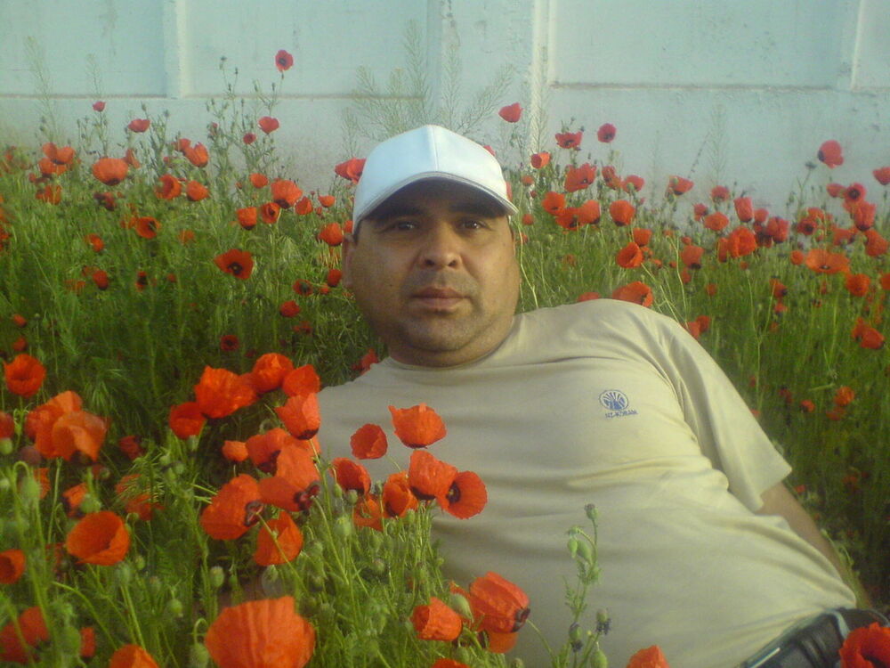 4122568  Sardor, 55 ,    