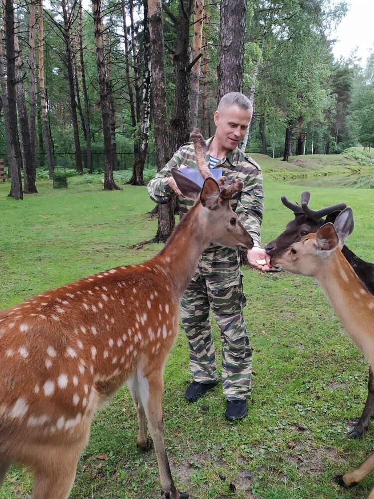 ���������� ������, ���� ������� �������, 53 ����, ������������ ��� ������, ����� � ���������