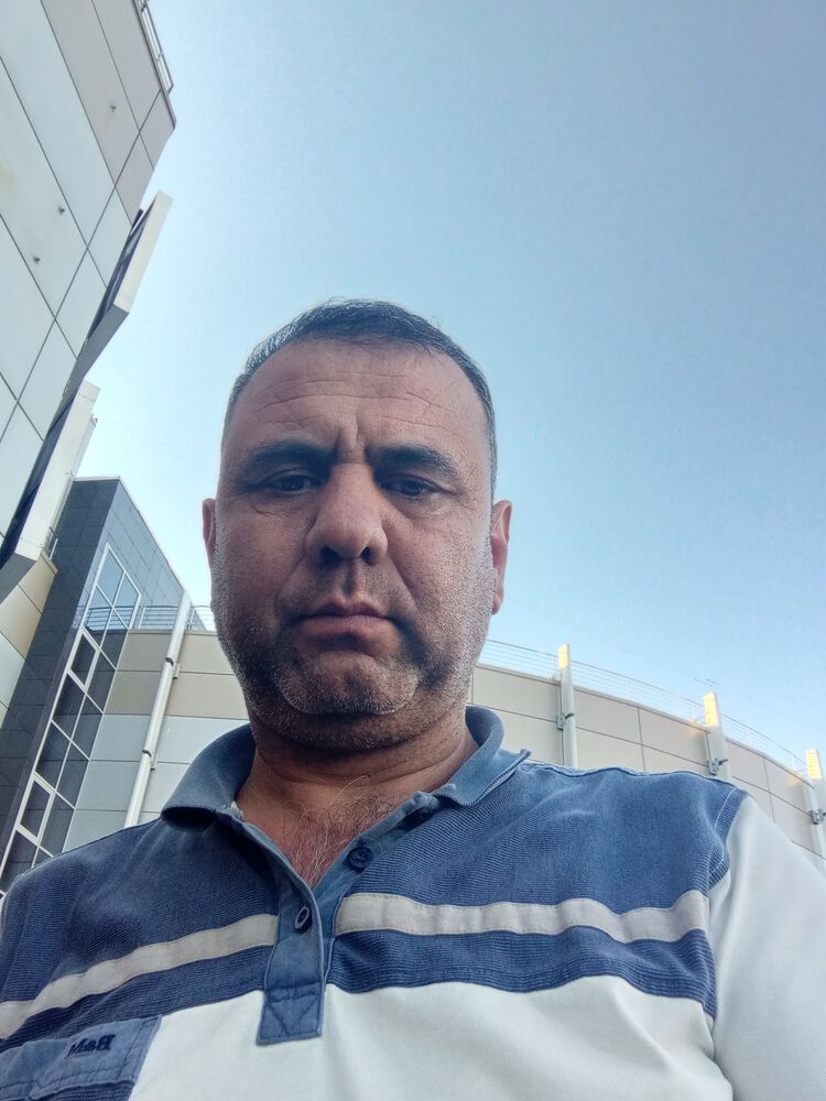  43411738  , 46 ,    