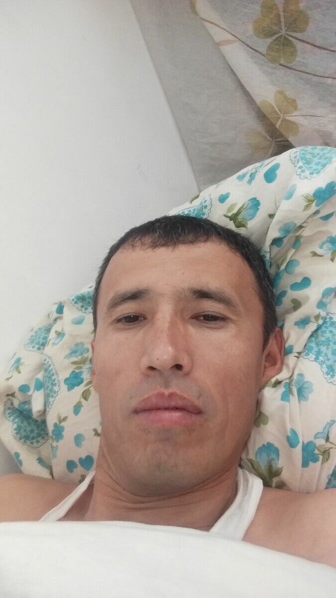  21052358  , 43 ,    