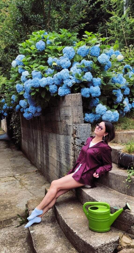 ���������� ����, ���� ������� ����, 40 ���, ������������ ��� ����� � ���������, c�������� ���������