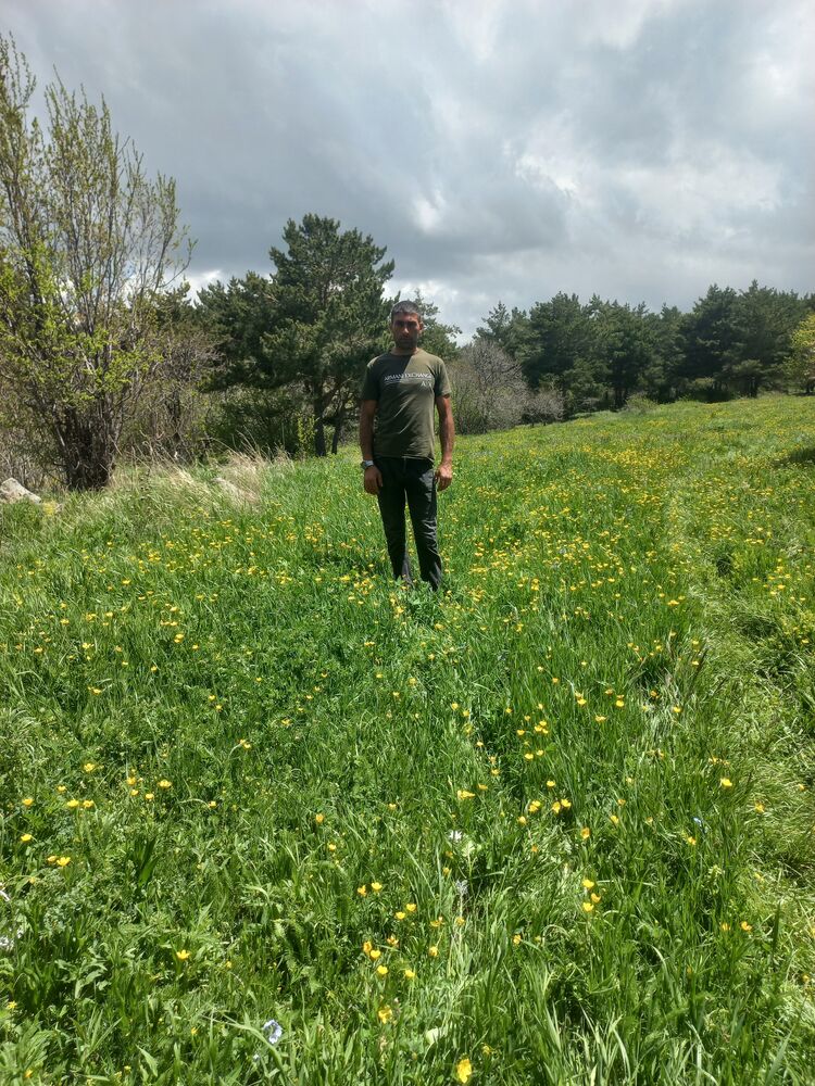 ���������� ������, ���� ������� ���, 34 ����, ������������ ��� ������, ����� � ���������