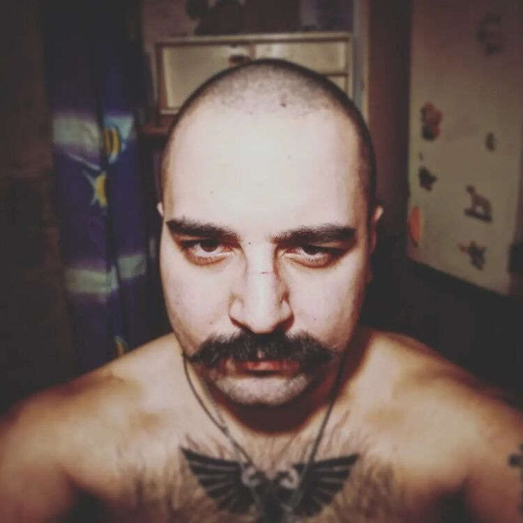 48331868  , 33 ,    