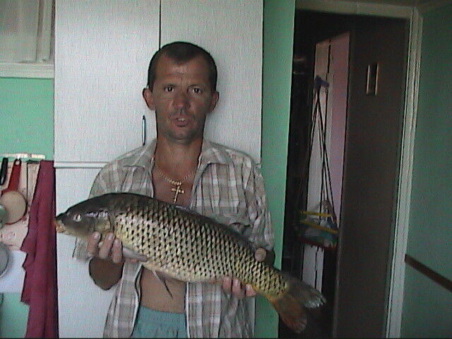  ,   Koss, 78 ,   ,   , c 