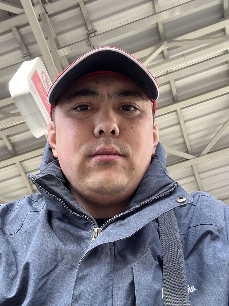 ���� 42136668 ������� �����, 32 ����, ���� ���������� � ������