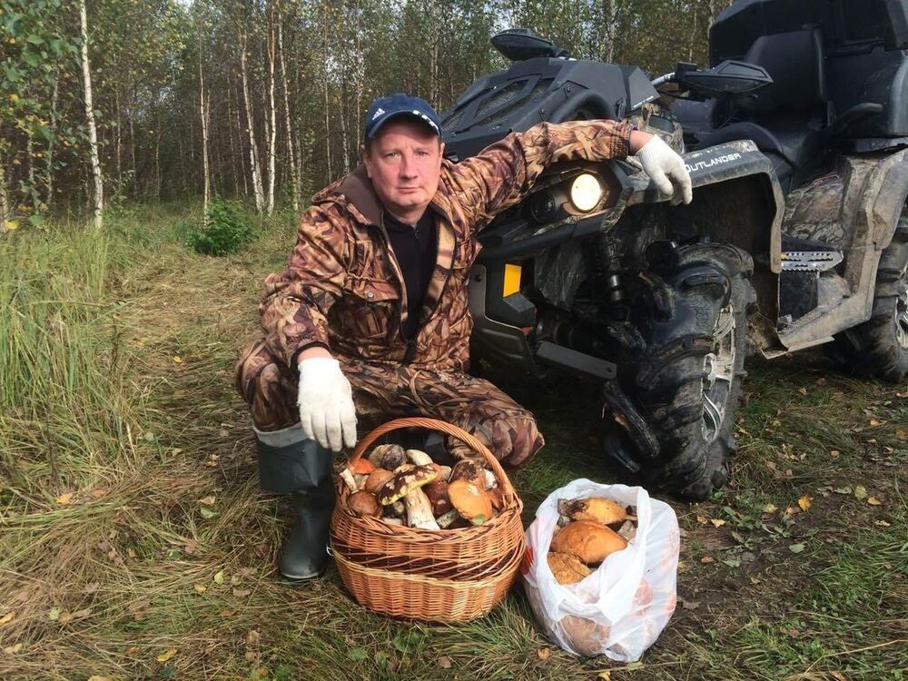 ���������� ���������, ���� ������� ������, 49 ���, ������������ ��� ������, ����� � ���������, c�������� ���������