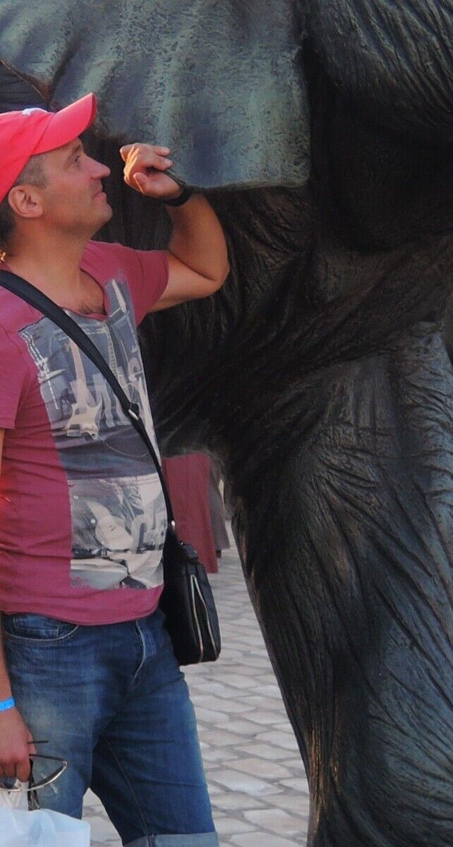 ���������� ��������, ���� ������� �����, 48 ���, ������������ ��� ������, ����� � ���������, c�������� ���������