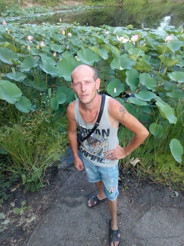 ���� 56118038 ������� ����, 41 ���, ���� ���������� � ��������