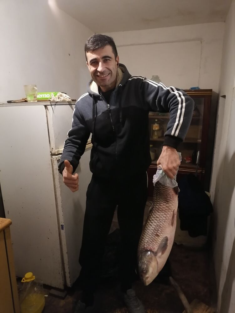 ���������� ��������, ���� ������� ����������, 36 ���, ������������ ��� ������, ����� � ���������