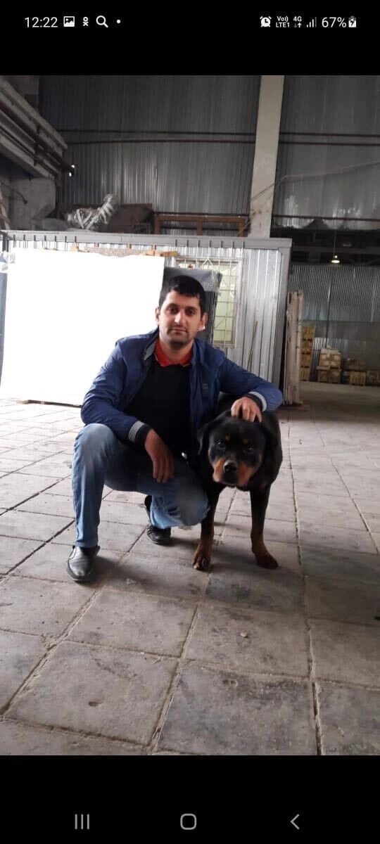 ���������� ������, ���� ������� ��������, 40 ���, ������������ ��� ������, ����� � ���������