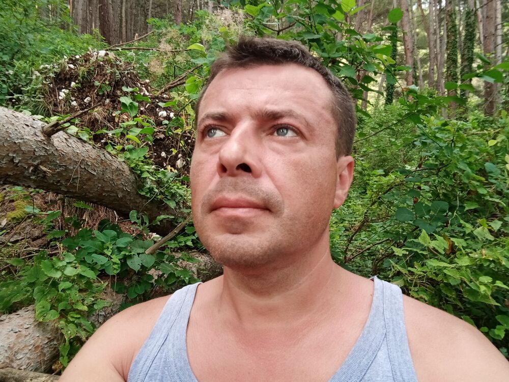  37310708  , 44 ,    
