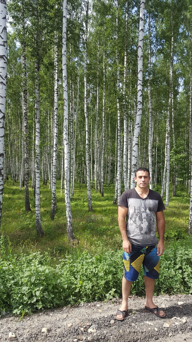 ���������� ������, ���� ������� �����, 37 ���, ������������ ��� ������, ����� � ���������, c�������� ���������