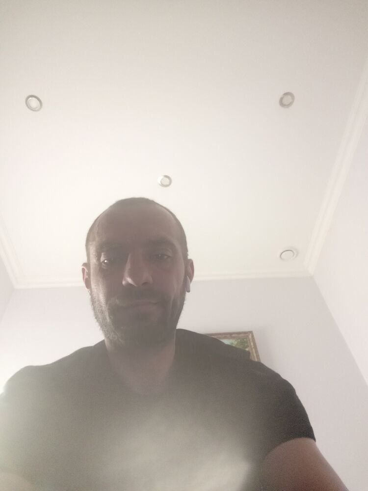  50881618  , 41 ,    