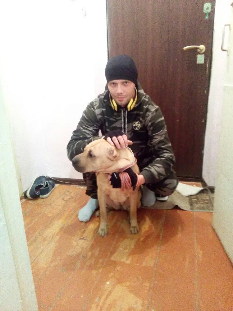 ���� 28622138 ������� ����, 41 ���, ���� ���������� � ������