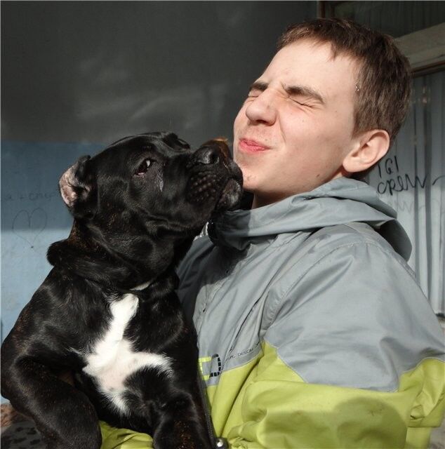 ���������� �������, ���� ������� Sapunyra, 51 ���, ������������ ��� ������