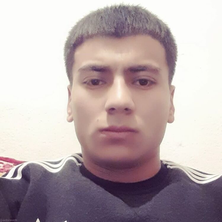  31906178  , 28 ,    