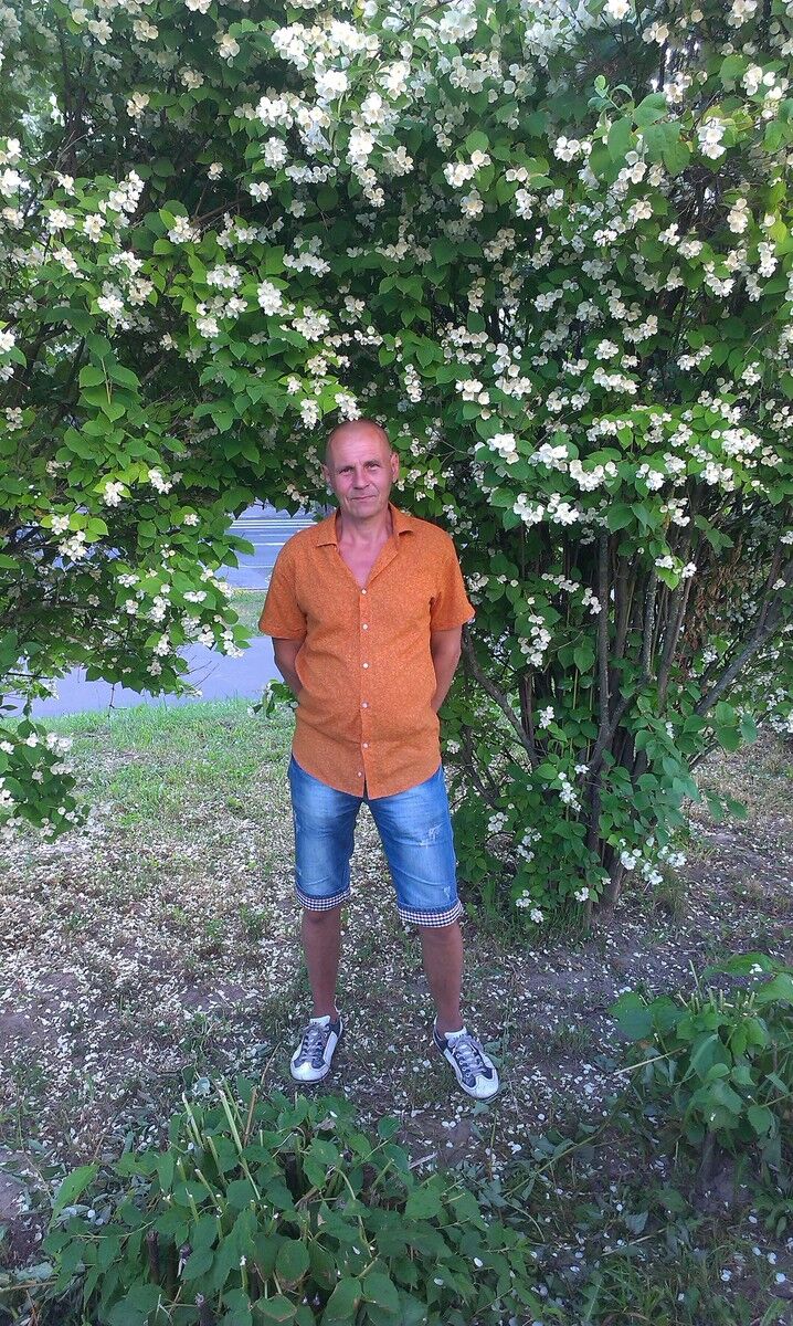 ���� 7310938 ������� �����, 55 ���, ���� ���������� � ������