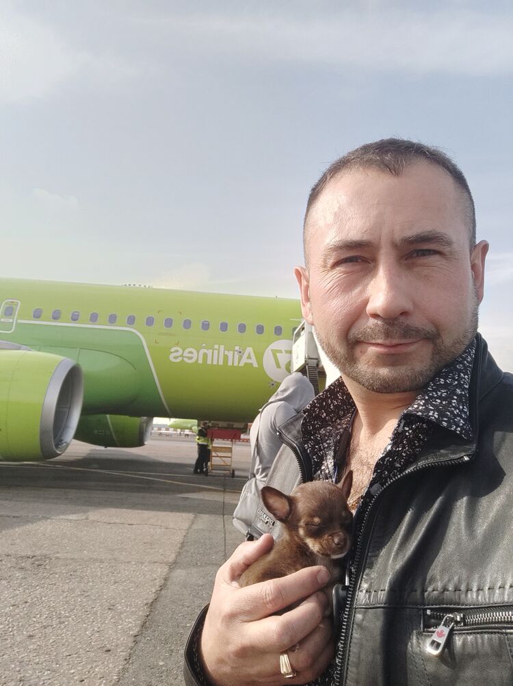 ���������� ��������, ���� ������� ����, 47 ���, ������������ ��� ������, ����� � ���������, c�������� ���������