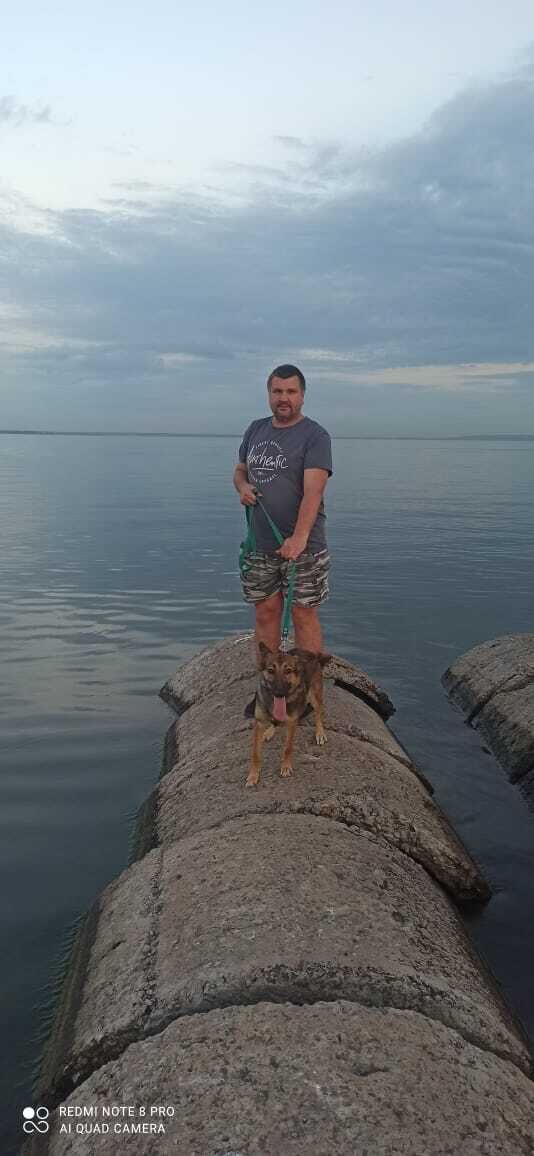 ���������� ���������, ���� ������� �������, 46 ���, ������������ ��� ������, ����� � ���������