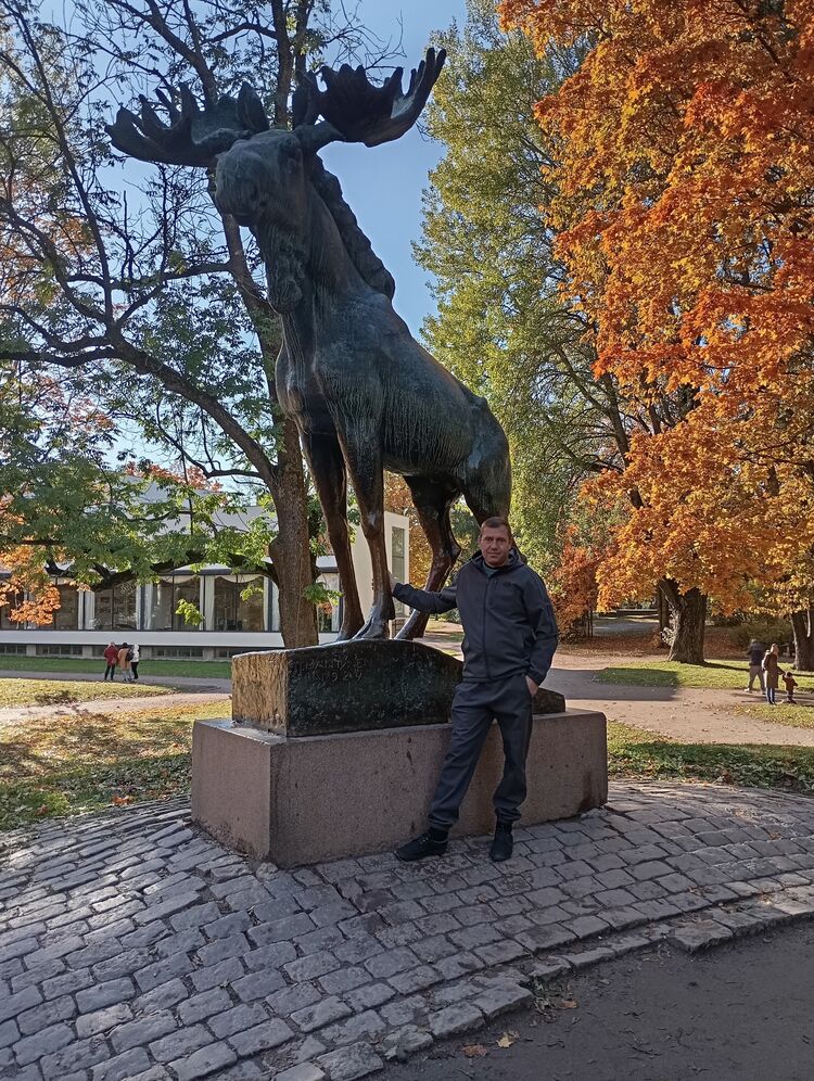  53372188  , 38 ,    -