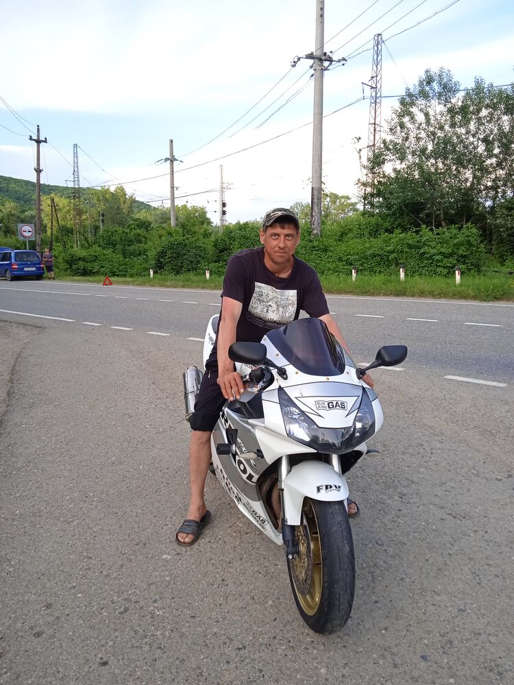  38810388  , 41 ,    