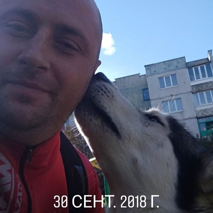 ���� 18684578 ������� ������, 36 ���, ���� ���������� � ���������