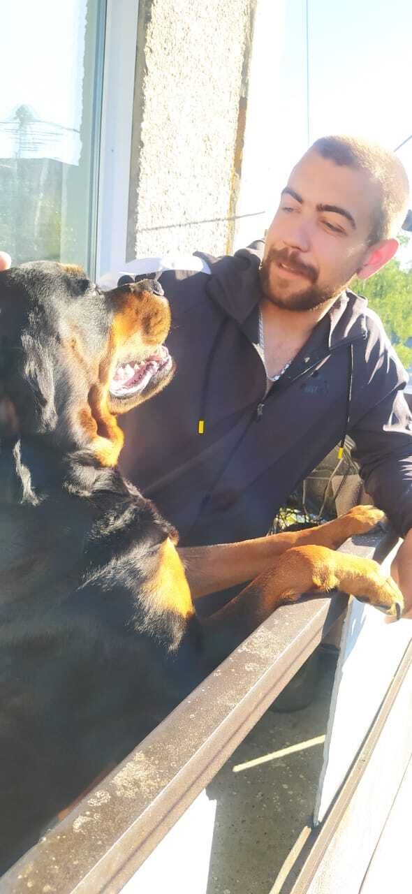 ���������� ����� �������, ���� ������� ����, 29 ���, ������������ ��� ������, ����� � ���������