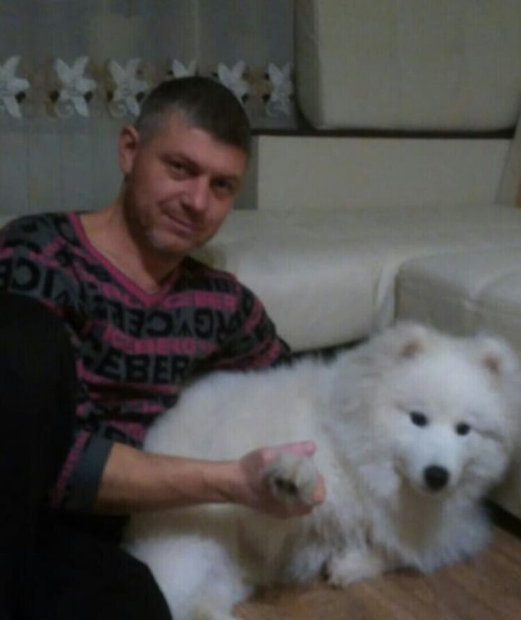 ���� 20903798 ������� �������, 50 ���, ���� ���������� � �����