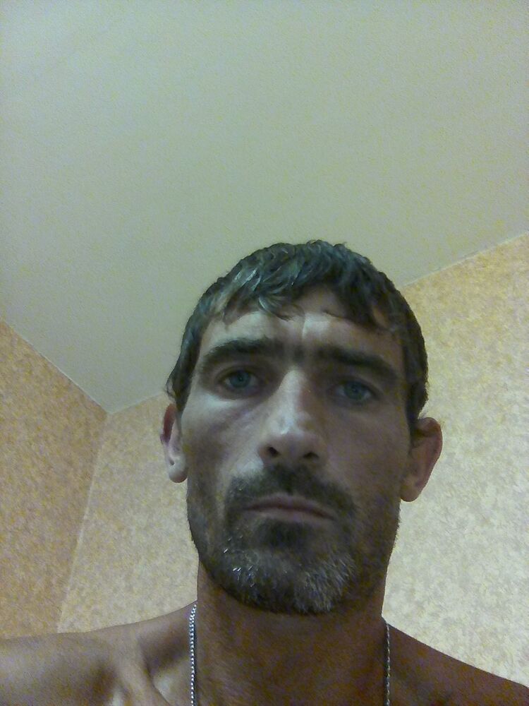  10043278  , 41 ,    