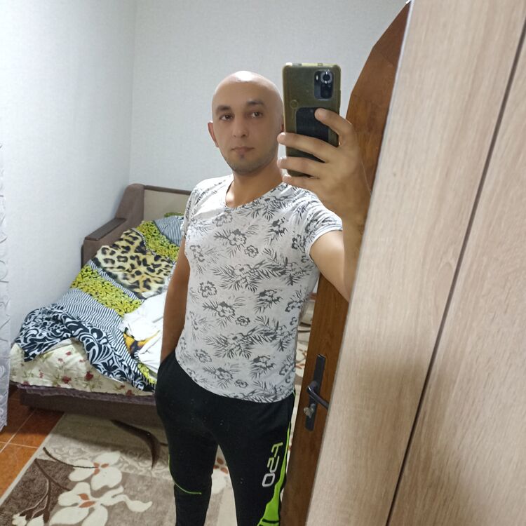  50675878  , 38 ,    