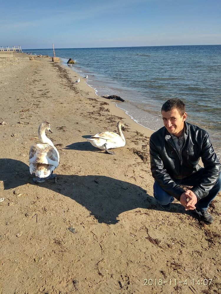 ���� 23023128 ������� �������, 41 ���, ���� ���������� � �����������