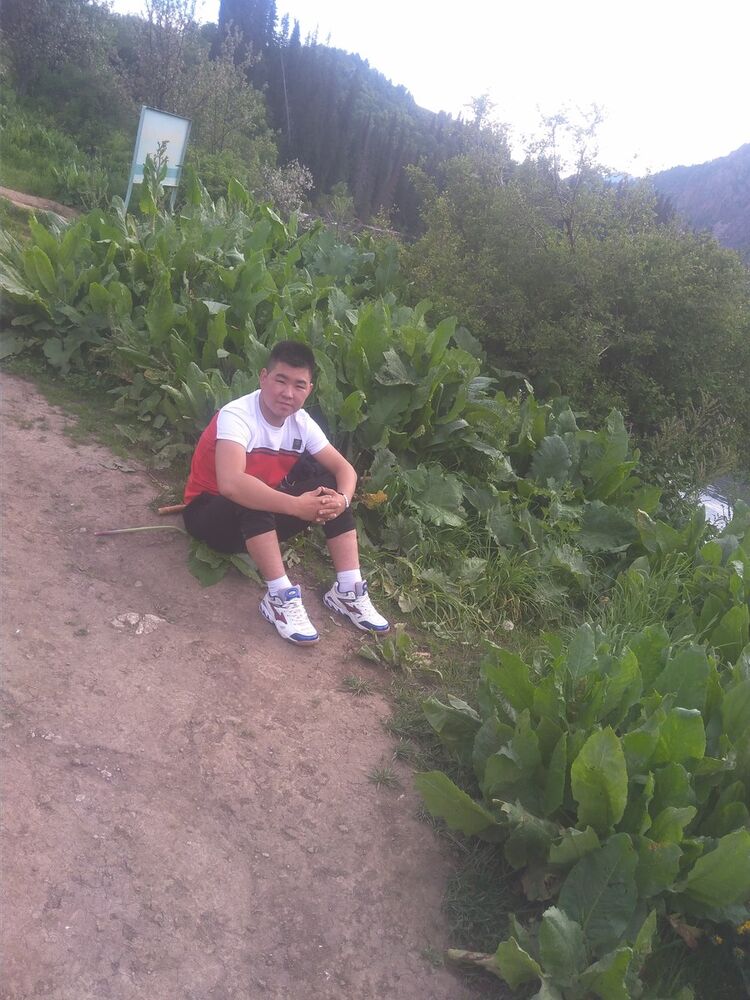 ���������� ������, ���� ������� Sadyr, 31 ���, ������������ ��� ������, ����� � ���������, c�������� ���������