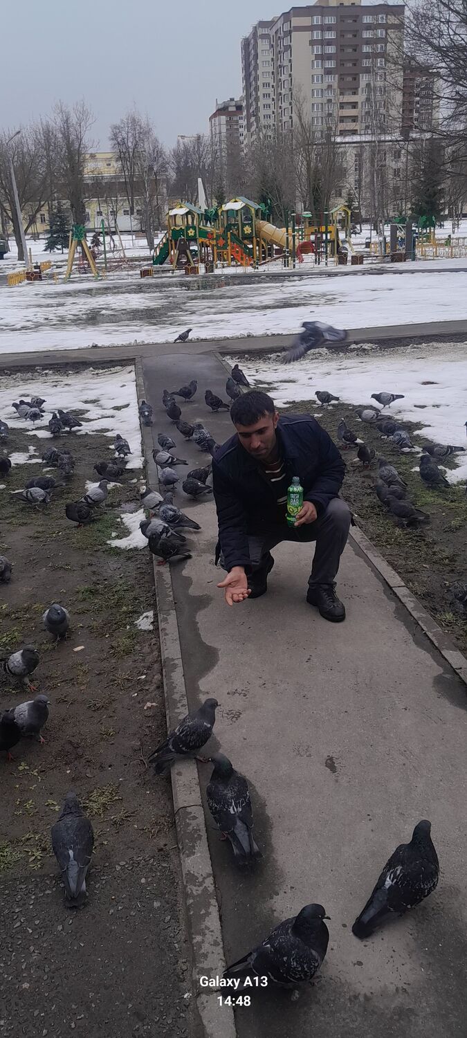 ���� 50809598 ������� ���, 37 ���, ���� ���������� � �������