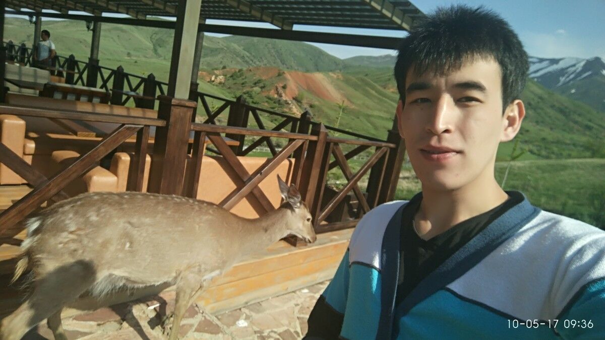  ,   Orka, 31 ,   ,   , c 