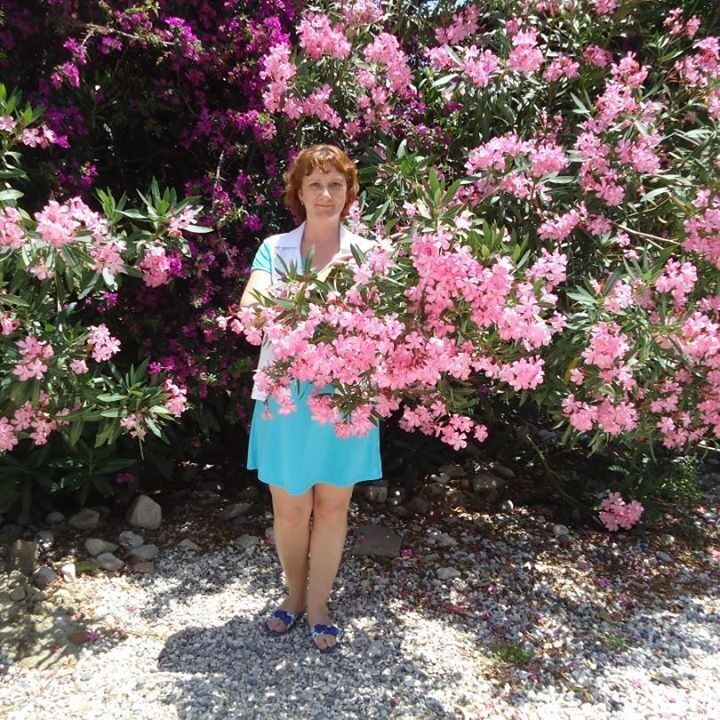  ,   , 58 ,  