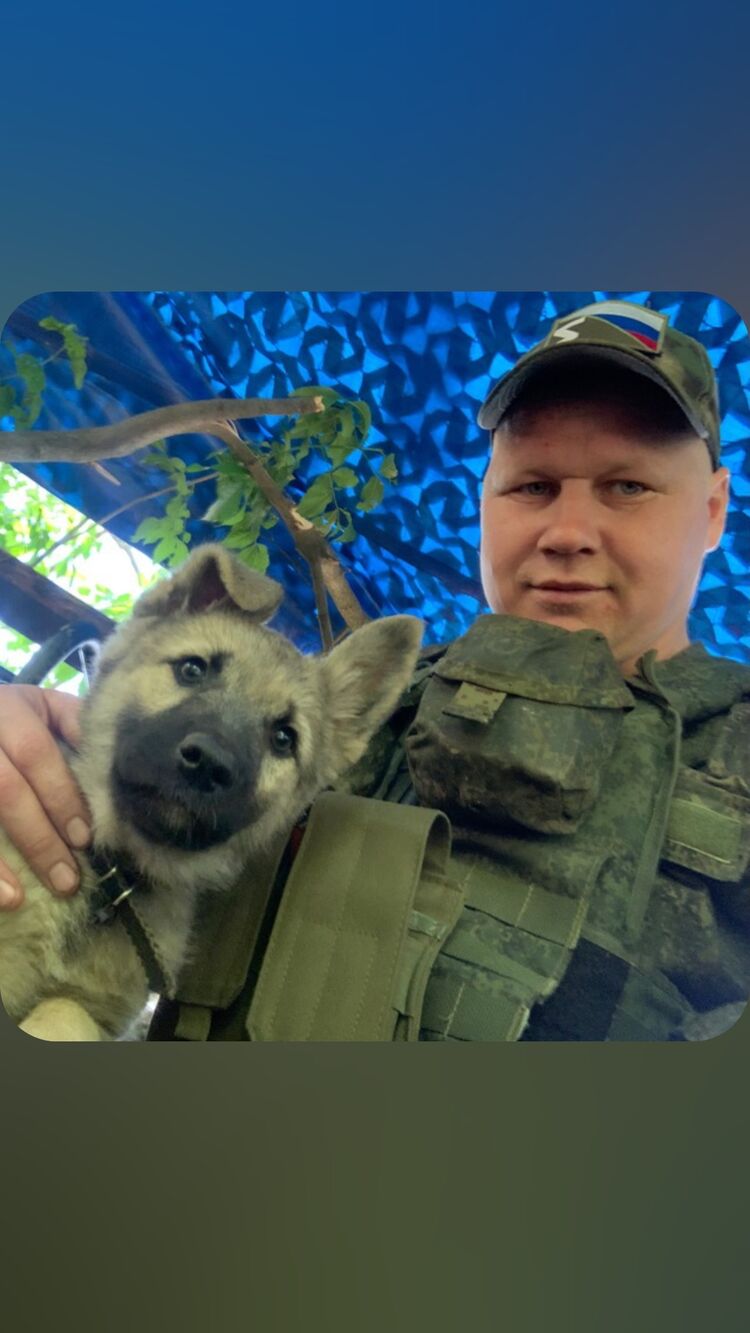 ���� 44244878 ������� ��������, 36 ���, ���� ���������� � �����