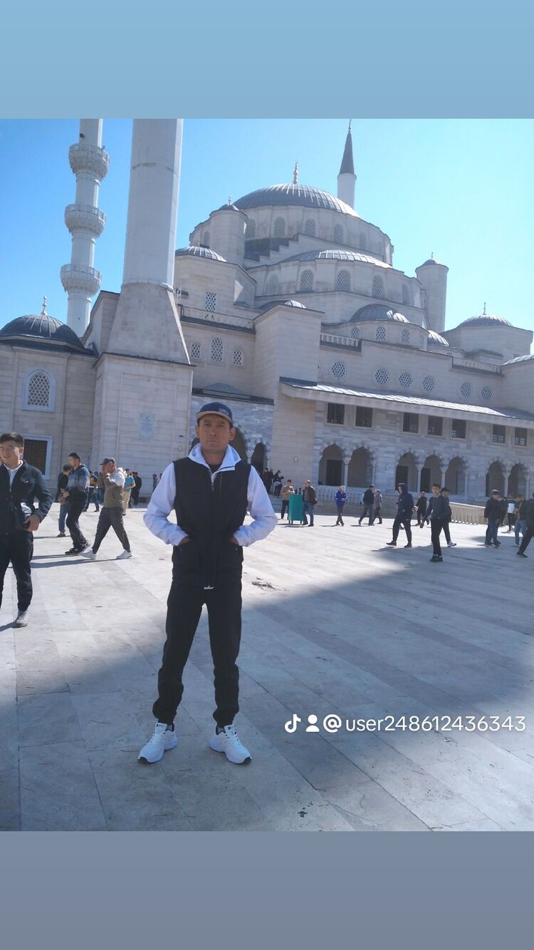 ���� 38582298 ������� �������, 40 ���, ���� ���������� � �������