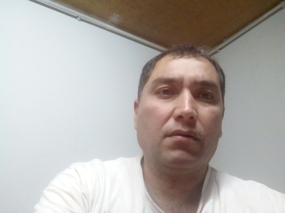  26590798  , 49 ,    