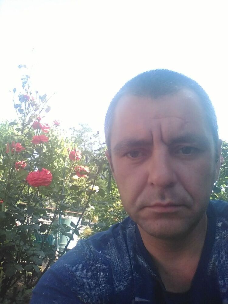  43637398  , 38 ,    