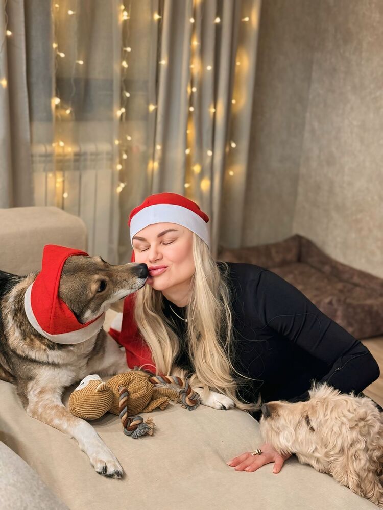 ���������� �������, ���� ������� ����, 49 ���, ������������ ��� ������, ����� � ���������