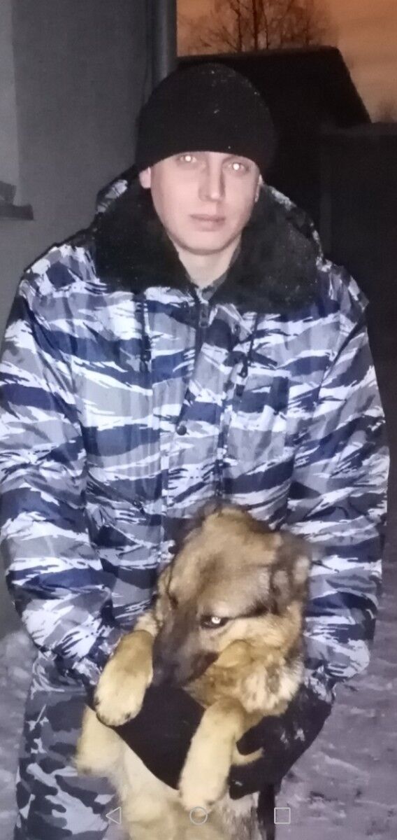 ���������� ������, ���� ������� ������, 38 ���, ������������ ��� ������, ����� � ���������, c�������� ���������