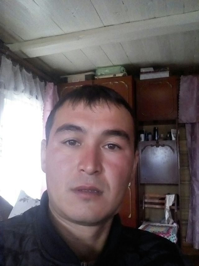  10768398  , 37 ,    