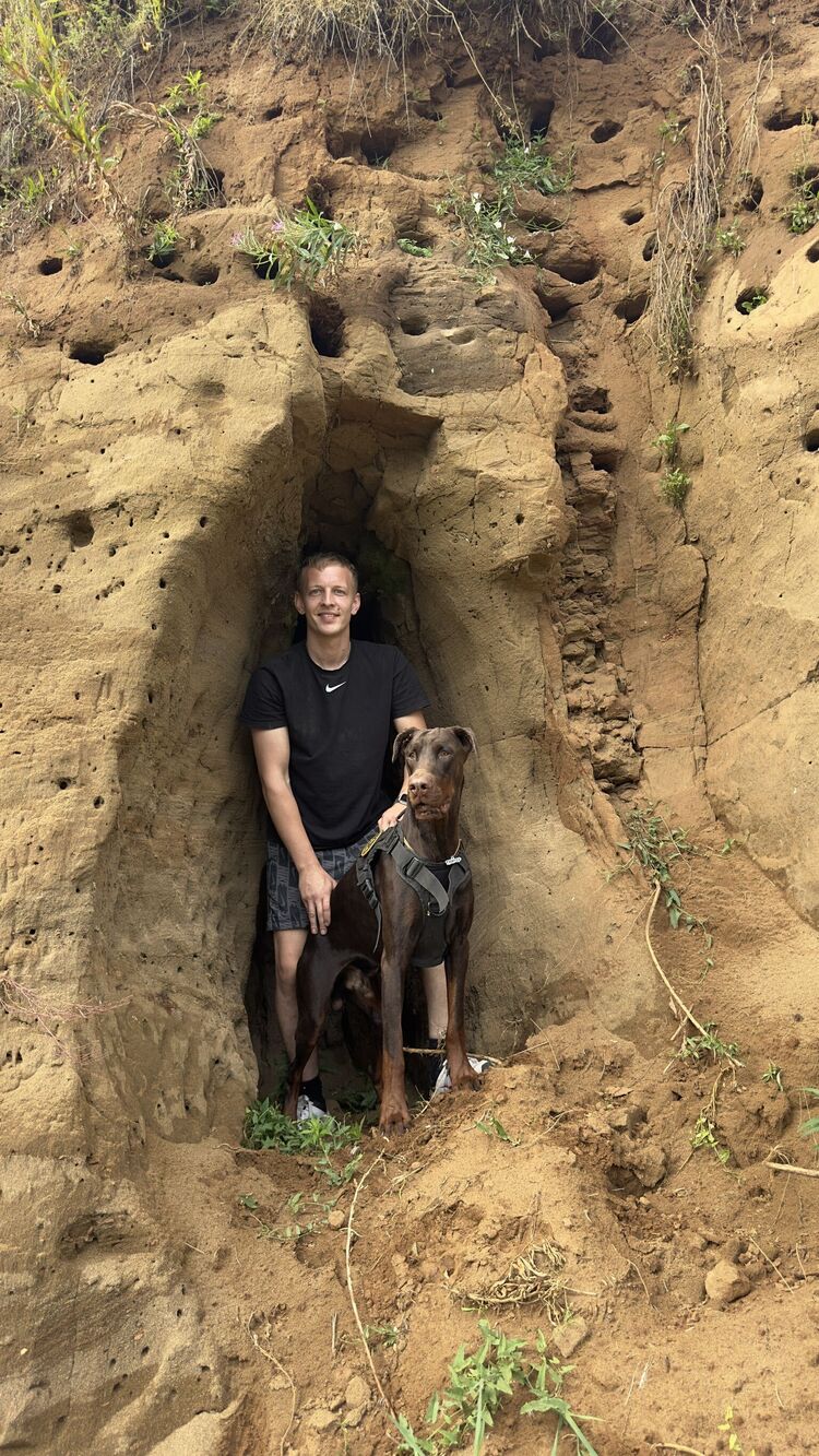 ���������� ���������, ���� ������� ���������, 29 ���, ������������ ��� ������, ����� � ���������