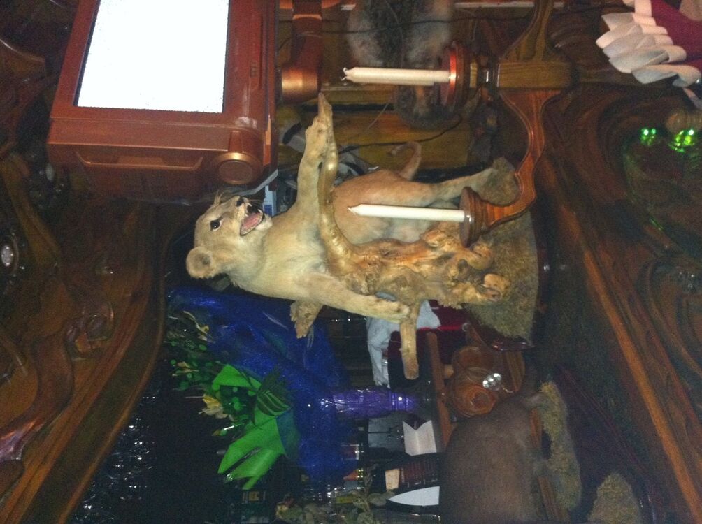 ���������� ������, ���� ������� �����, 52 ����, ������������ 